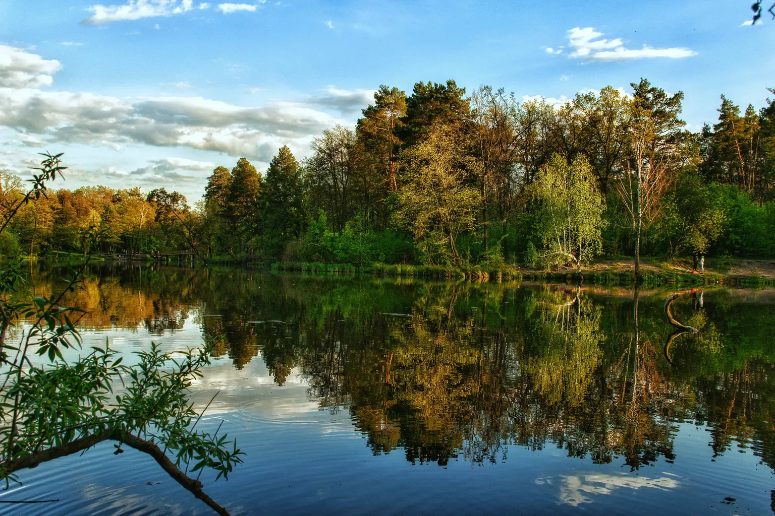 Beautiful Ukrainian nature. Online Ukrainian language classes at Polymathes Academy Beautiful Ukrainian nature. Online Ukrainian language classes at Polymathes Academy