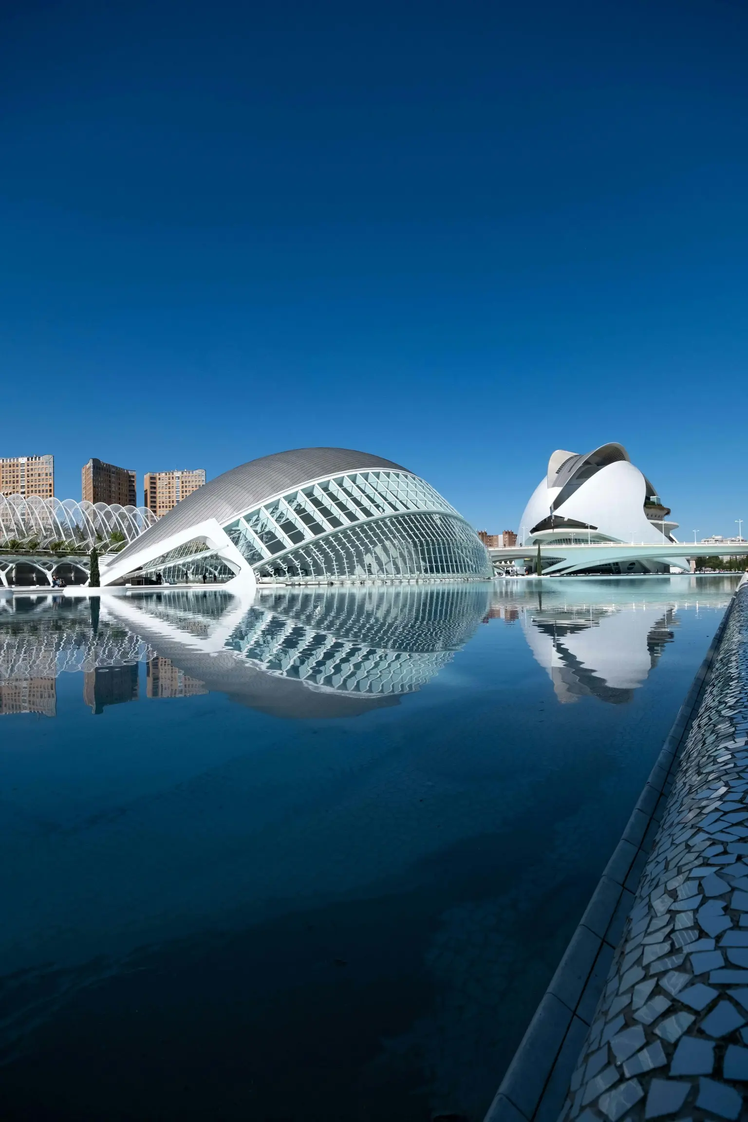 City of Arts and Sciences in Valencia. Polymathes Academy language school City of Arts and Sciences in Valencia. Polymathes Academy language school